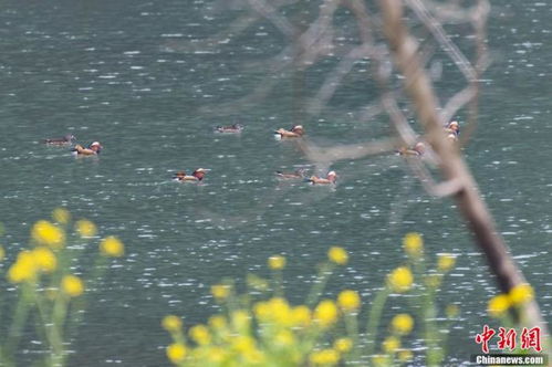 生態(tài)環(huán)境部 1至4月129個城市環(huán)境空氣質(zhì)量達標 綜合治理成效顯著