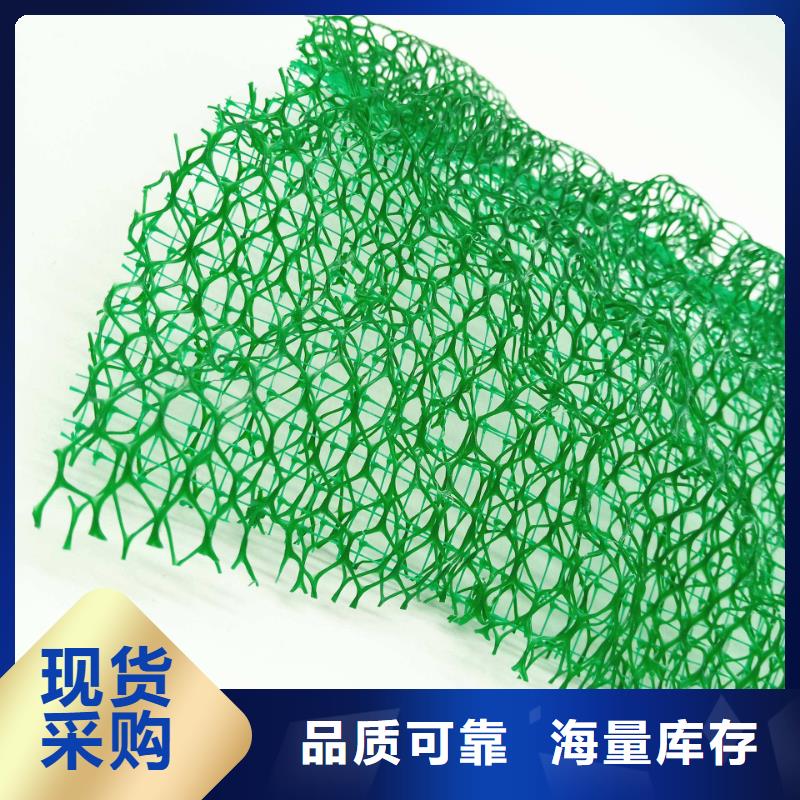 三維植被網與排水板 符合標準的生態(tài)環(huán)境材料應用與發(fā)展