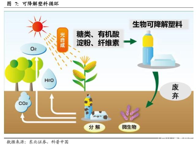 從限塑到禁塑 可降解塑料迎黃金發展期，生態環境材料站上風口